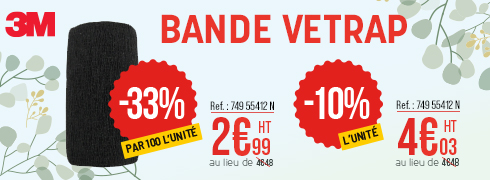 Bande Vetrap