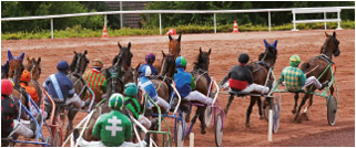 course Driver